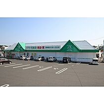 グランデ志戸部 0202 ｜ 岡山県津山市志戸部（賃貸マンション1LDK・2階・41.60㎡） その5