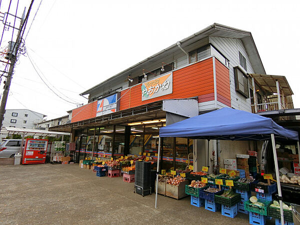 Ｐａｌａｓｔ（パラスト） 302｜茨城県つくば市二の宮4丁目(賃貸アパート1LDK・3階・41.86㎡)の写真 その4