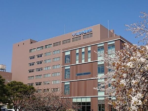 画像16:総合病院