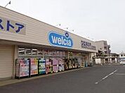 ドラッグストア