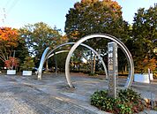 公園