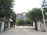 周辺：大学「日本大学生産工学部津田沼キャンパスまで700m」
