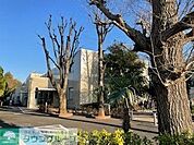 練馬区立関町図書館 徒歩18分。 1380m