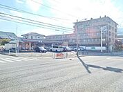新小平駅の周辺施設 1200m