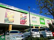 コープ花小金井店 徒歩10分。スーパー 800m