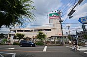 島忠新座店 483m