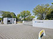 私立明治薬科大学 396m