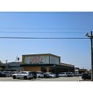 スーパー「albis奥田店まで349ｍ」