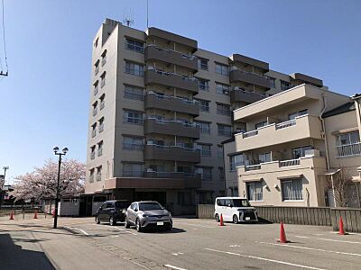 外観:外観 外観:外観