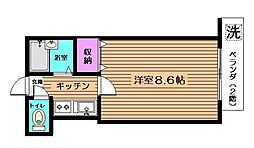 マロニエハイツ 2階/202