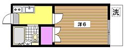 フラワーコーポラス 2階/203