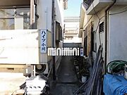 参考写真です