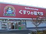 周辺：ドラッグストア 「くすりの福太郎まで250m」