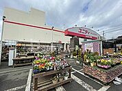 ホームセンター「ユニディ松戸ときわ平店まで844m」