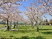 公園「広尾防災公園まで1234m」