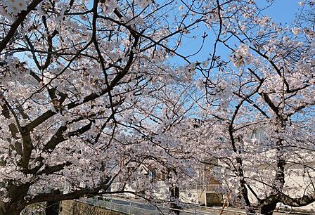 公園「行徳駅前公園まで342m」