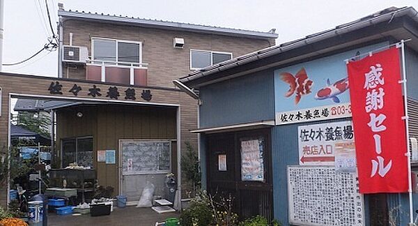 周辺を拡大表示