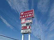 カスミテクノポリス清原店 4597m