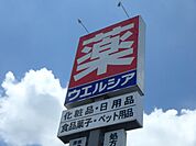 ウエルシア下野小金井店 597m
