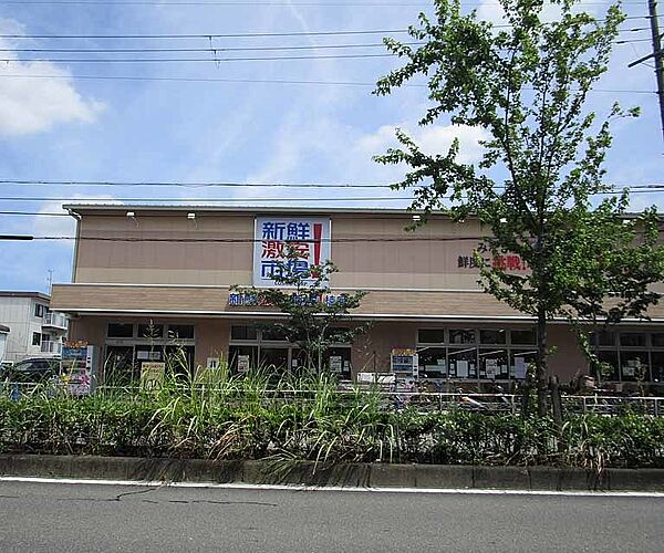画像21:新鮮激安市場 桂店まで140m 桂川街道沿いのディスカウントスーパー。毎日が特売日です。