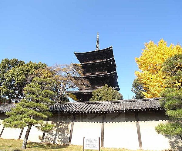 東寺　教王護国寺まで750m 五重の塔で有名な世界遺産の東寺です。