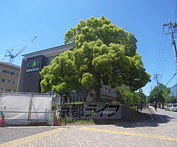 御輿岡貸家（北側） 北側 ｜ 京都府京都市中京区西ノ京御輿岡町（賃貸一戸建1LDK・--・34.00㎡） その11