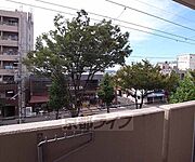 街路樹がキレイな白川通り沿い