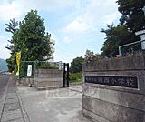城西小学校まで550m 活気溢れる小学校です。