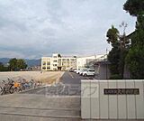 大井小学校まで650m