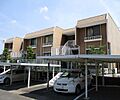 パレーシャル柳田