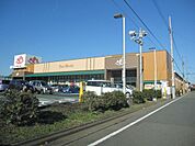 アルプス　1150ｍ