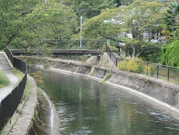 京都府京都市山科区御陵大津畑町(賃貸マンション1DK・3階・41.02㎡)の写真 その28