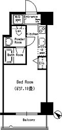 ドールマウスタワー ワンルームの間取図画像