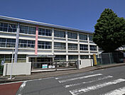 小学校「海老名市立柏ケ谷小学校まで484m」