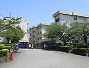 小学校「海老名市立杉本小学校まで792m」