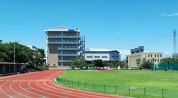周辺：【大学】東京女子体育大学まで1203ｍ