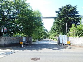 コーポ峰 101 ｜ 東京都小金井市貫井北町5丁目（賃貸アパート2K・1階・34.70㎡） その23