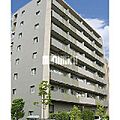 パインエクセレント