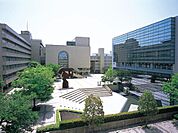 大学「聖徳大学まで3200m」