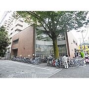中学校「私立藤村女子中学校まで334m」