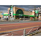 サミットストア　府中若松店（780m）