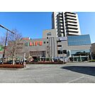 ライフ　府中中河原店（334m）