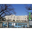 日野市立潤徳小学校（450m）