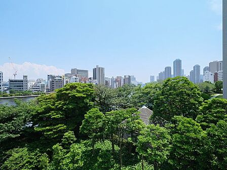 バルコニーからは思わず伸びをしたくなるような開放的な青空、豊かな水と緑を感じられる気持ち良い景色が広がります。都会の喧騒から離れ、日常をアップデートできる大切な空間です。