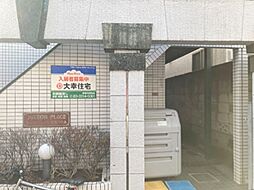 5 / 11