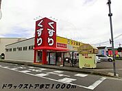 ツジドラッグまで1000m