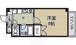 レージュ松原 2階/-