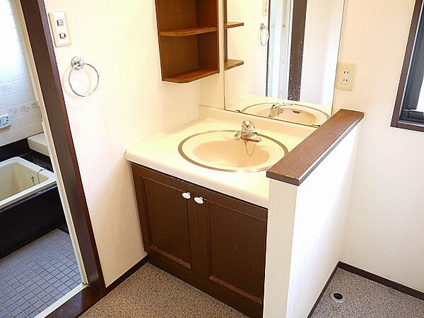 画像23:広い洗面スペース