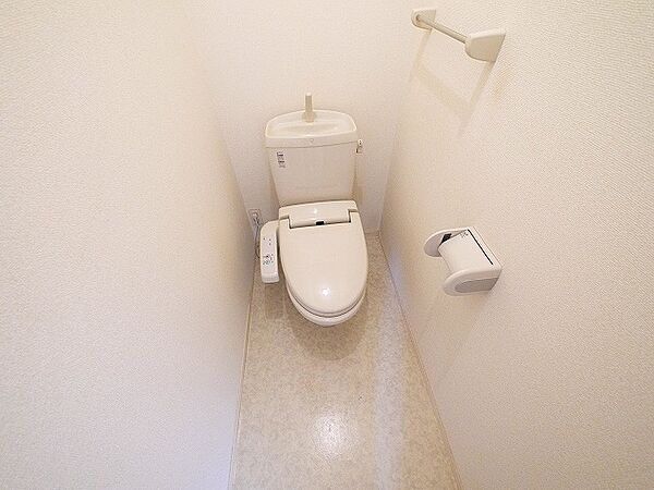 画像10:落ち着いた色調のトイレです