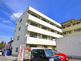 奈良県天理市田井庄町（賃貸マンション2K・4階・46.90㎡） その1